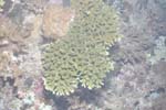 _DSC00042007-05-30_15.25.12