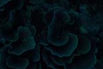 _DSC00072007-05-30_15.26.58