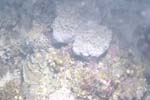 _DSC00082007-05-30_15.28.22