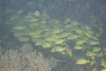 _DSC00102007-05-30_15.28.46