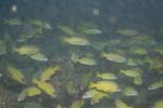 _DSC00122007-05-30_15.28.56
