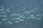 _DSC00162007-05-30_15.31.28