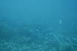 _DSC00322007-05-30_15.35.38