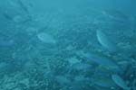 _DSC00372007-05-30_15.36.32