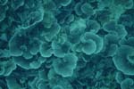 _DSC00482007-05-30_15.43.58