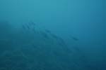 _DSC00542007-05-30_15.48.58
