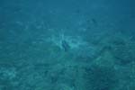 _DSC00552007-05-30_15.49.24