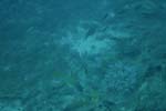 _DSC00562007-05-30_15.49.30