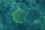 _DSC00602007-05-30_15.50.58