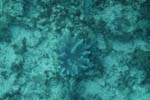 _DSC00612007-05-30_15.51.36
