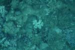 _DSC00622007-05-30_15.54.30