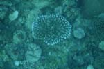 _DSC00642007-05-30_15.55.02