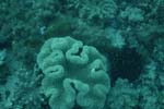 _DSC00652007-05-30_15.55.54