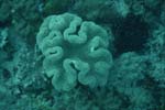 _DSC00662007-05-30_15.55.58