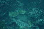 _DSC00722007-05-30_15.58.52