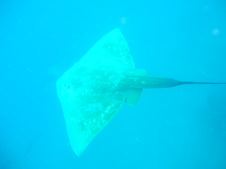 Mozambik 2OO5 028