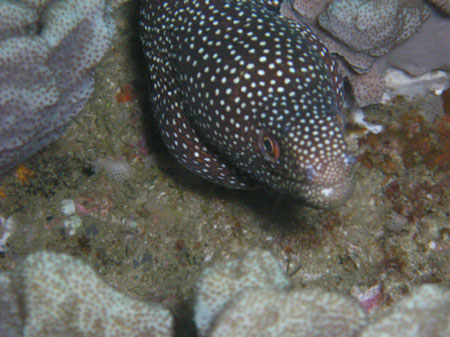 Mozambik 2OO5 056