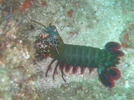 Mozambik 2OO5 065