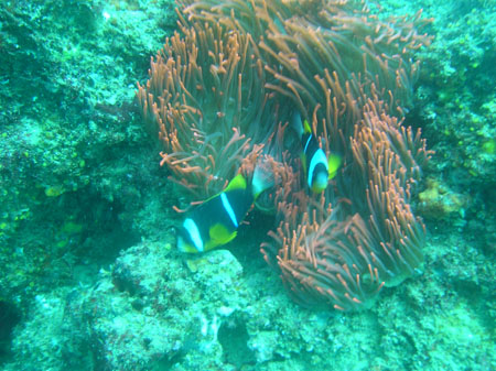 Mozambik 2OO5 094