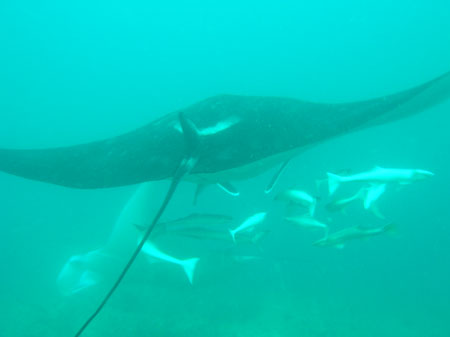 Mozambik 2OO5 136