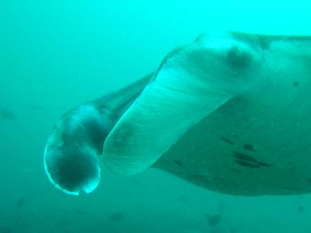 Mozambik 2OO5 15