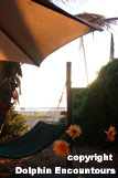Dolphin Encountours Lodge