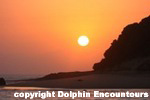 Dolphin Encountours Lodge