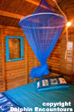 Dolphin Encountours Lodge
