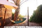 Dolphin Encountours Lodge