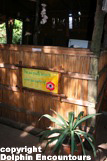 Dolphin Encountours Lodge
