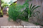 Dolphin Encountours Lodge
