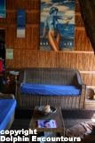 Dolphin Encountours Lodge