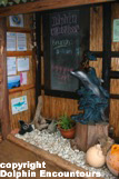 Dolphin Encountours Lodge