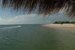 dugong_19