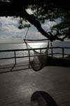 dugong_26