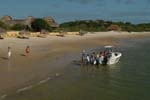 dugong_31