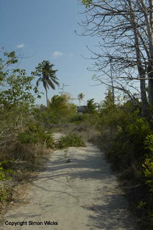 _DSC0023