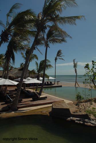 indigo_bay_09