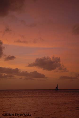 indigo_bay_35