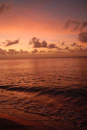 indigo_bay_36