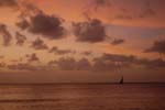 indigo_bay_34