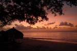 indigo_bay_39