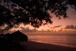 indigo_bay_40
