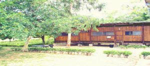 inhacazulE