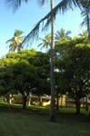 S.a2005-03-19_16.23.13