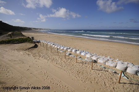 Beach at Jeffs, Mozambique