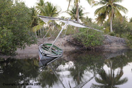 linga_linga_mangroves_02