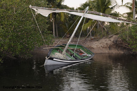 linga_linga_mangroves_03