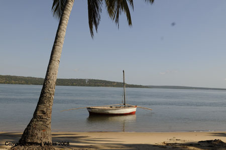 linga_linga_mangroves_04