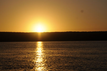 linga_linga_mangroves_06